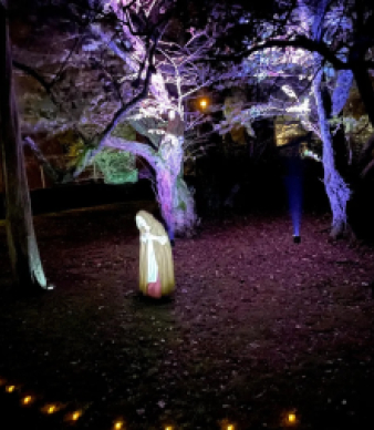 Witch Trials