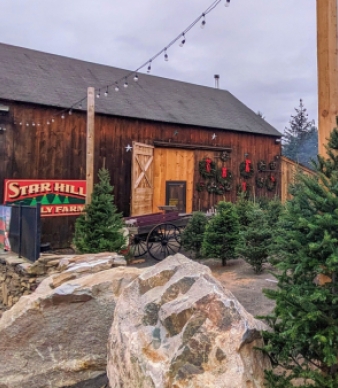 Star Hill Family Farm