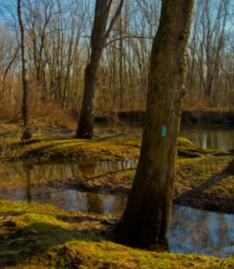 Quinnipiac River State Park