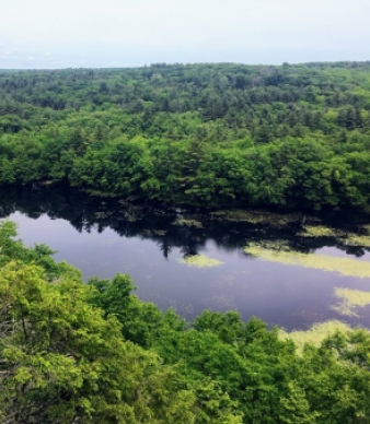 Ross Pond State Park