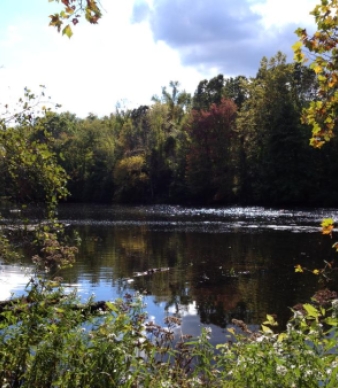 Salt Rock State Park Campground