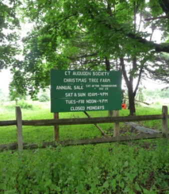Connecticut Audubon Society - H. Smith Richardson Tree Farm