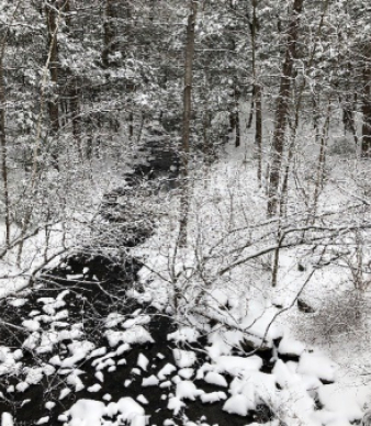 Roaring Brook Nature Center