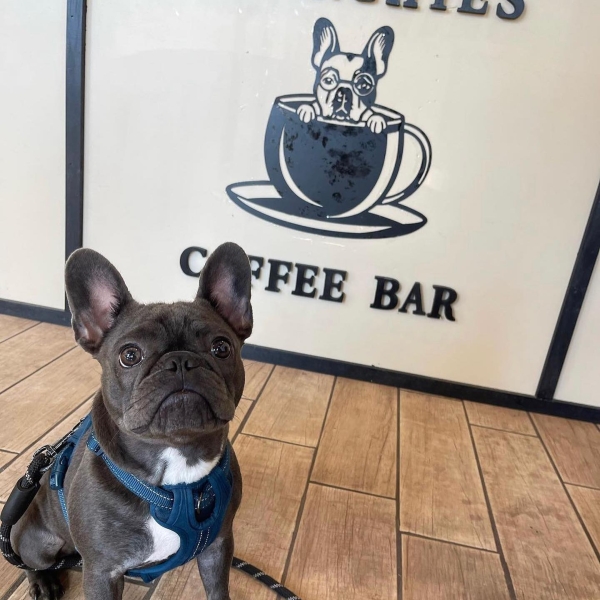 Name new Wilton ice cream store, win ice cream - Daily Bulldog