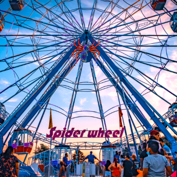ferris wheel at a busy fair
