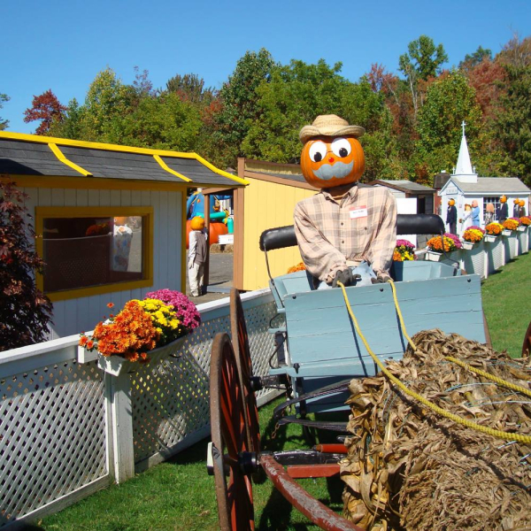 Pumpkintown 