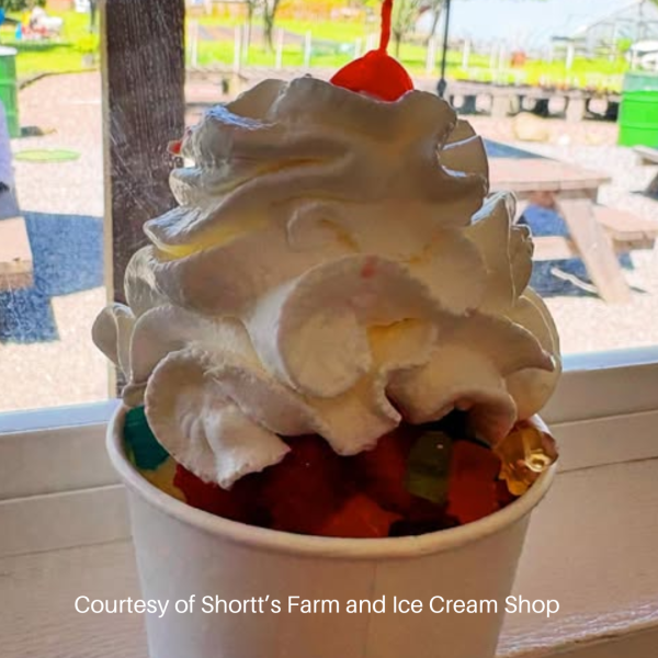Ice Cream Sundae at Shortt's Farm and Ice Cream Shop.