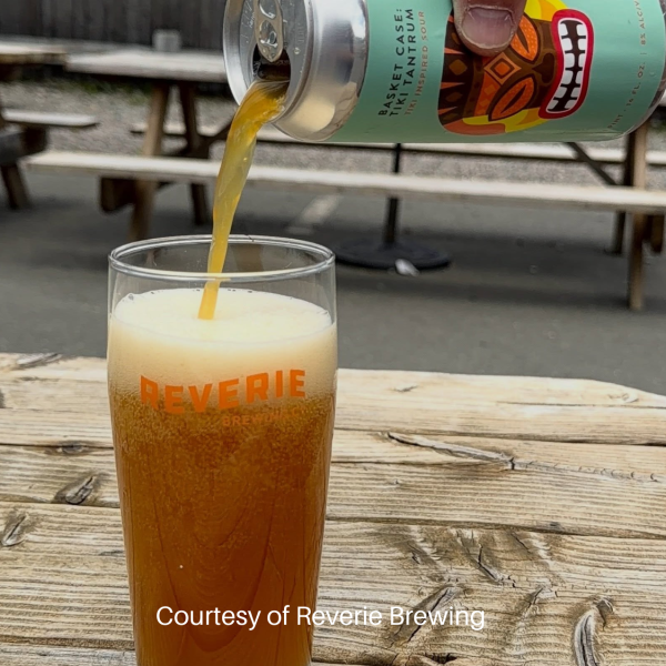 Cold Reverie Beer being poured into a glass.
