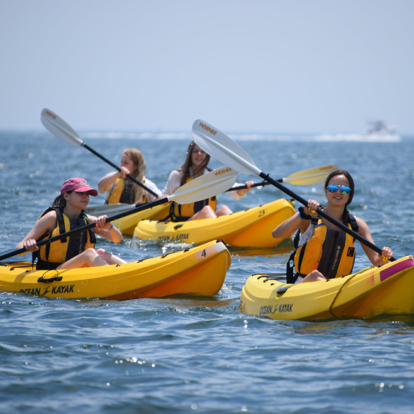 A group of adults kayaking in Stonington Harbor