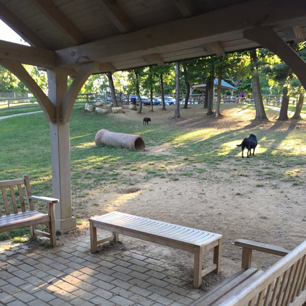 Bark Park