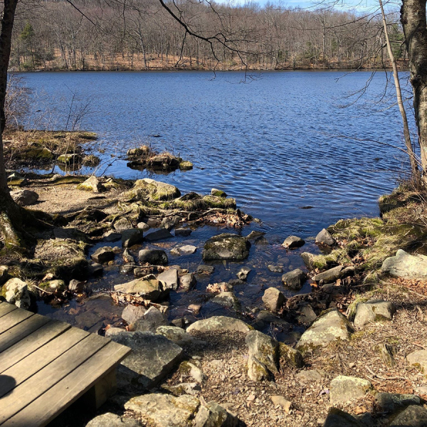  Topstone Park 
