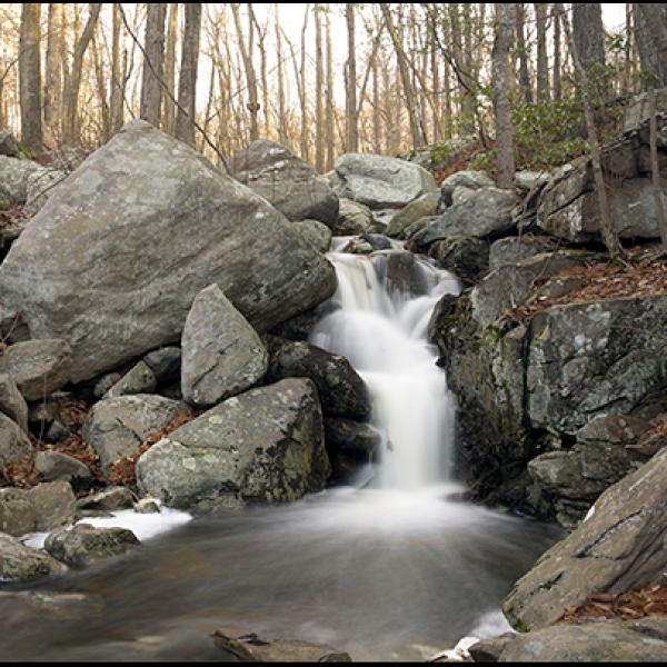 Ambler Cascade in Weston