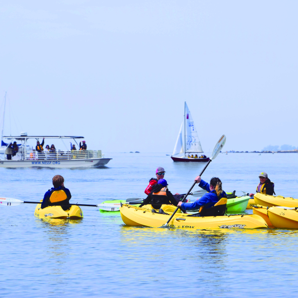 A school group experiences a rotation of three classes: kayaking, on-the-water water quality lab testing, and sailing