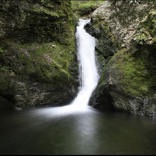 Indian Well Falls in Shelton 