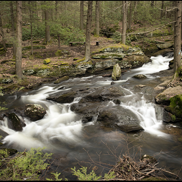 Mad River Cascades in Wolcott