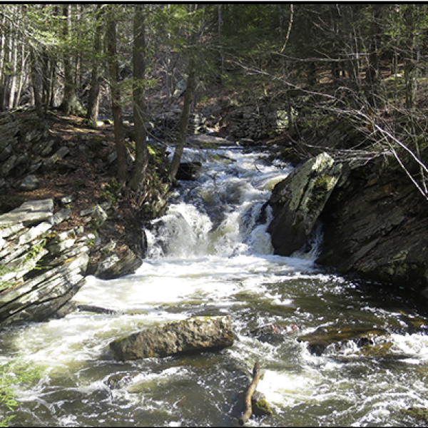 Saugatuck Falls in Redding