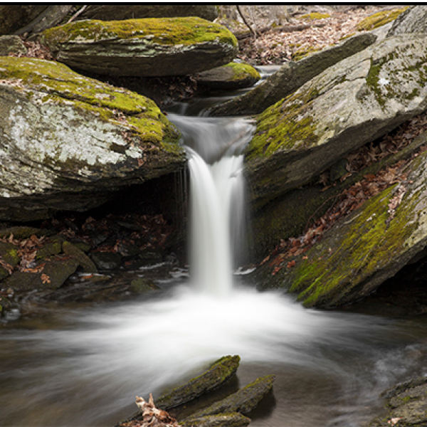 Sheep Falls in Wilton