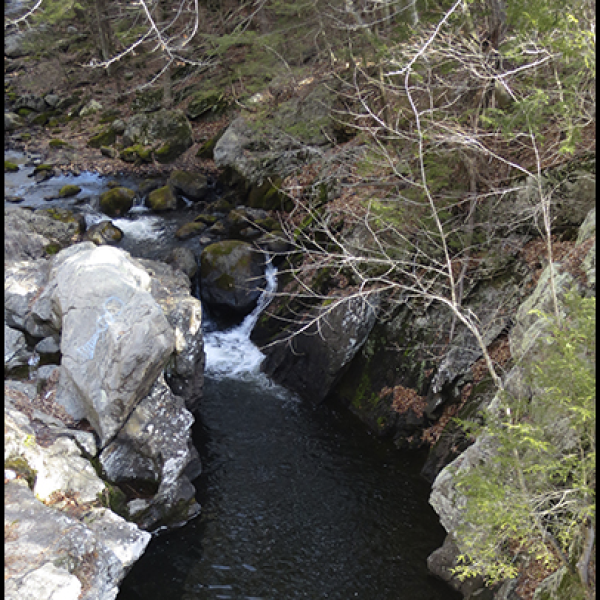 Valley Forge Falls in Weston