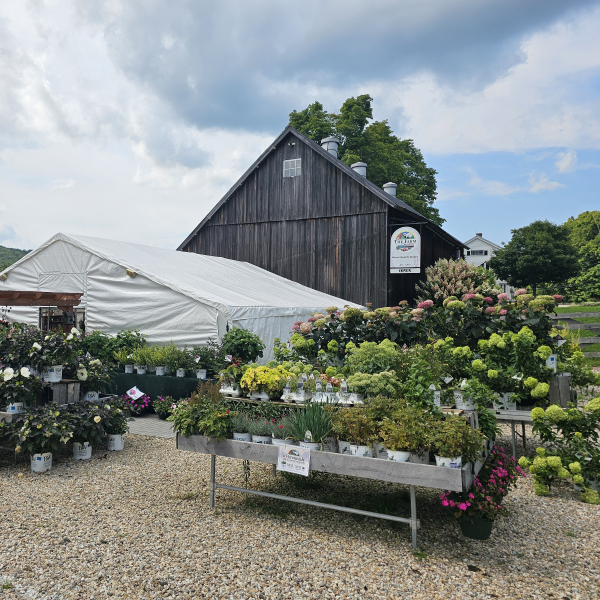 The Farmstand located at The Farm