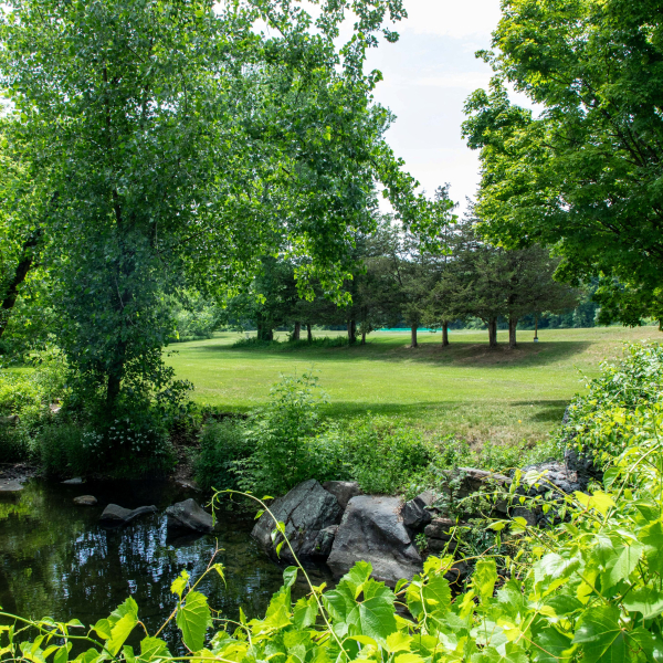 Clatter Valley offers Scenic trails, peaceful woods, and plenty of natural beauty to explore.
