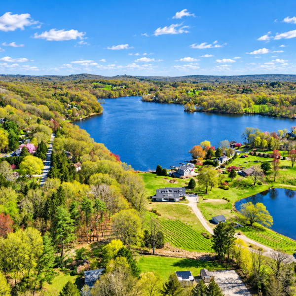 overview