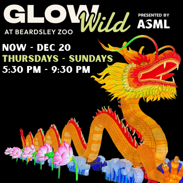 Glow Wild 2026 Dragon Lantern at Beardsley Zoo