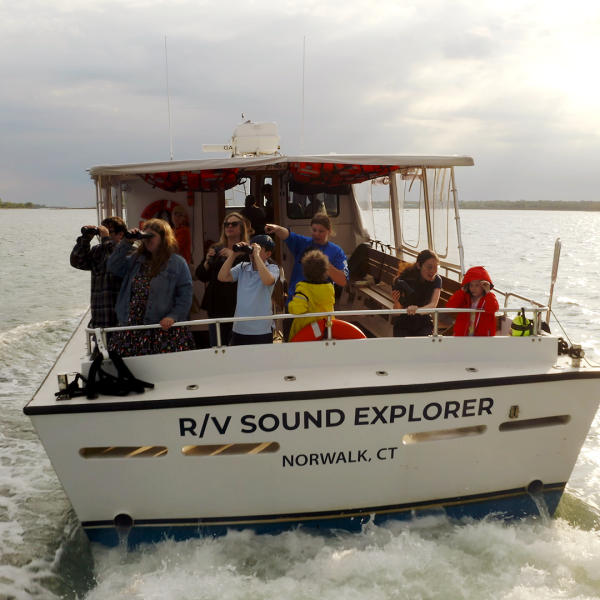 Aquarium educators and guests on the Aquarium's research vessel looking out on the water with binoculars 