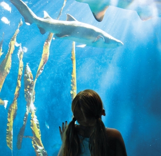 Maritime Aquarium