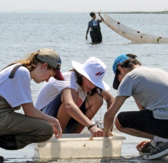 Students at a beach look through a bin to observe marine organisms.