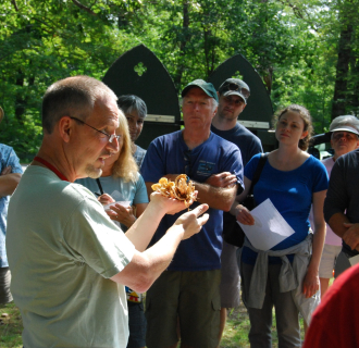 Mushroom Program, Cedar Hill Cemetery, Hartford 