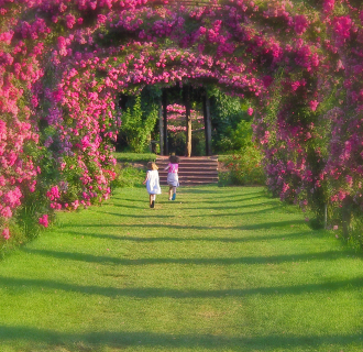 elizabeth park retouched