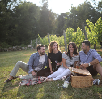 stonington vineyards