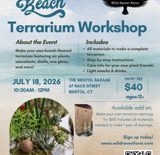 Beach Terrarium Workshop