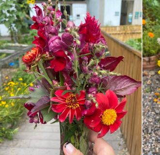 Bouquets at Earthplace