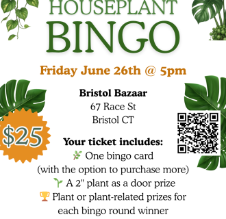 Houseplant Bingo