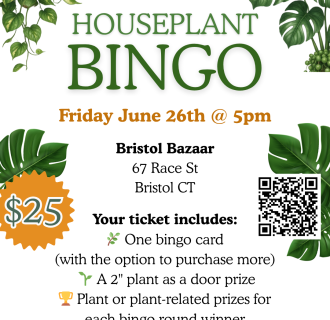 Houseplant Bingo