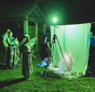 Moth Ball Lightsheeting Station