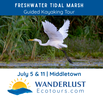 Guided Kayaking: Golden Hour in a Freshwater Tidal Marsh