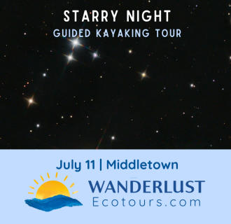 Guided Kayaking: Starry Night Tour