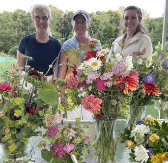 Come to the flower field!