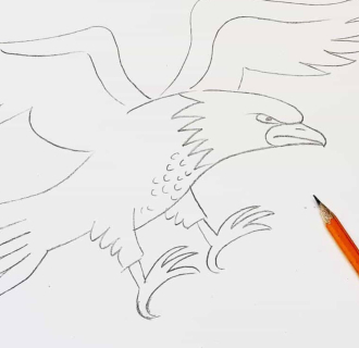 An illustration of an eagle being done with pencil. 