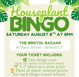 Houseplant Bingo