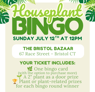Houseplant Bingo!
