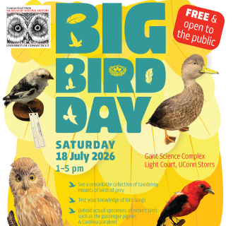 flyer for event including image of various birds and information about event