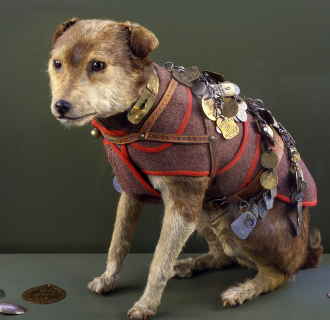 Owney the Post Office Dog