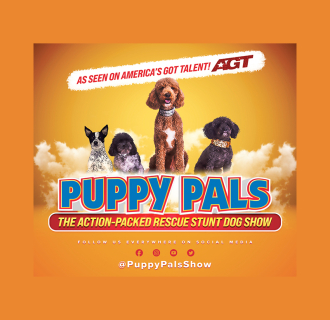 Action Packed Comedic Stunt Dog Show