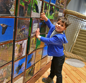 Literacy Tree House