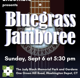 Bluegrass Concert