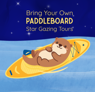 Guided Paddleboard Star Gazing Astronomy Tour