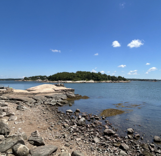Guided Kayaking Birding Tour of the Thimble Islands